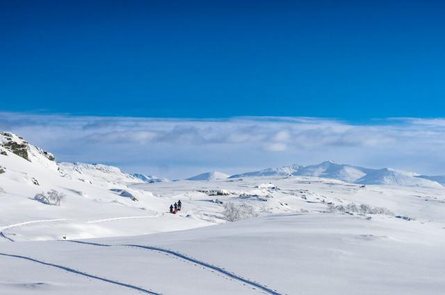 Skärmavbild 2024 03 12 Kl. 21.01.44 LR