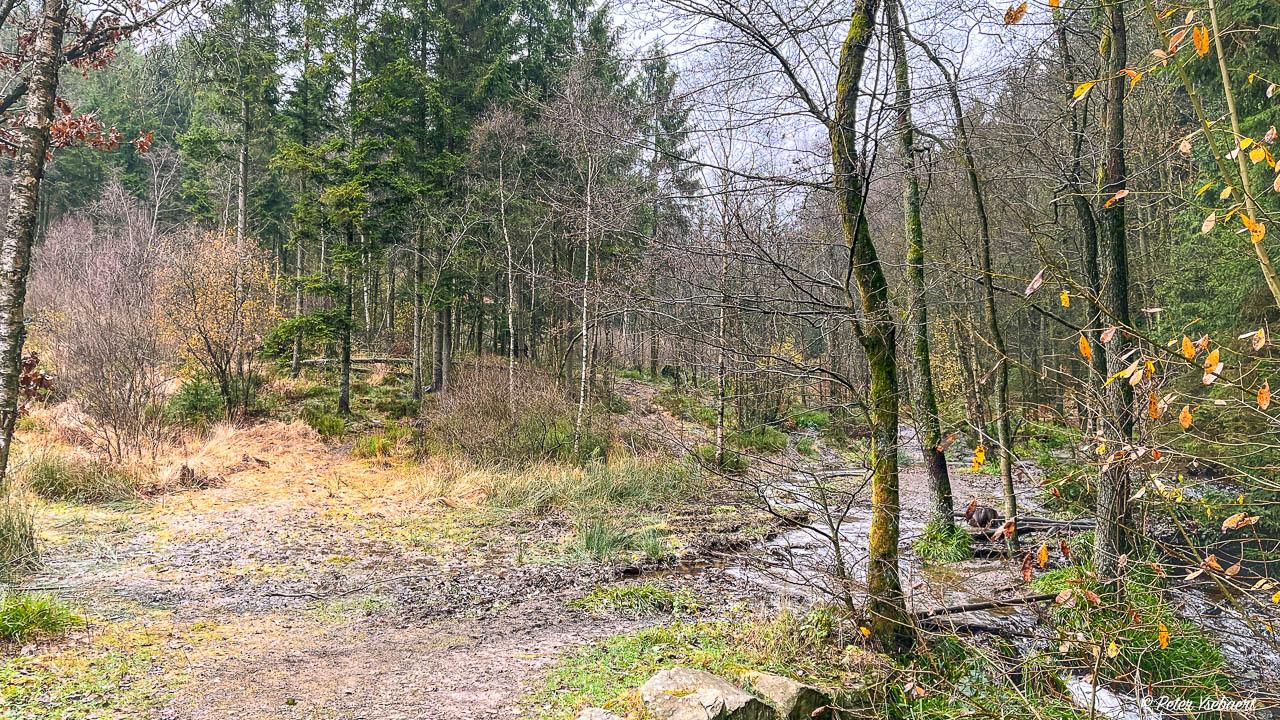 Venntrilogie 28 Ysebaert Peter Peter Ysebaert W1280