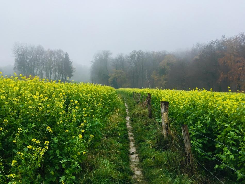 Foto-24-11-18-15-43-09_export