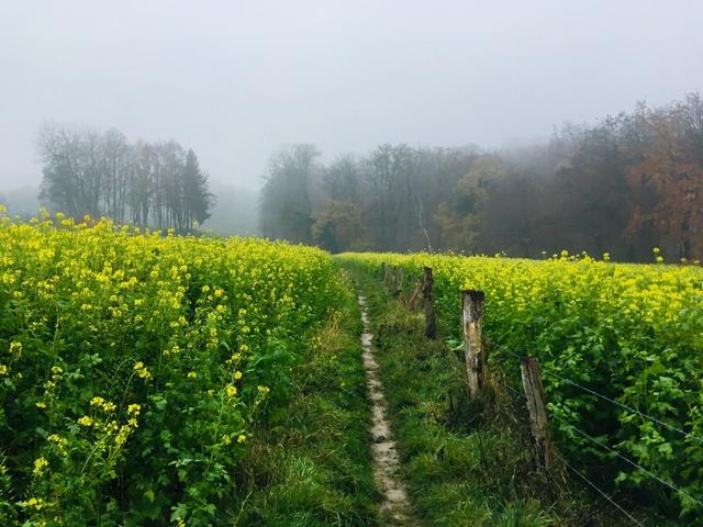 Foto-24-11-18-15-43-09_export