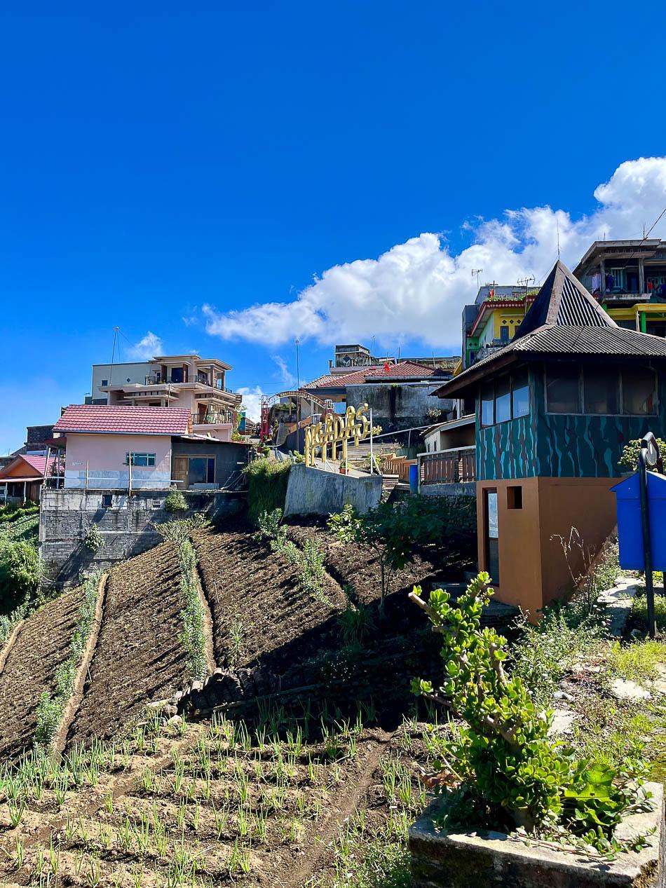 Image00013 Selectie Eveline Eveline Claes W950 Eveline Claes Eveline Claes W950