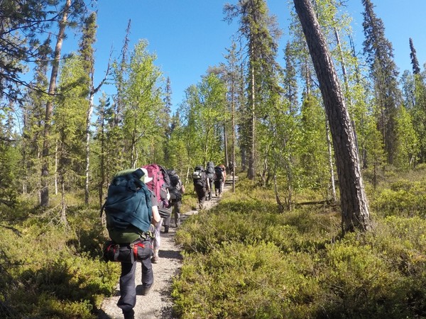 Finland - De grote berenroute