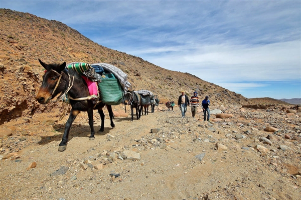 Marokko - Tussen bergen en woestijn: Jebel Saghro