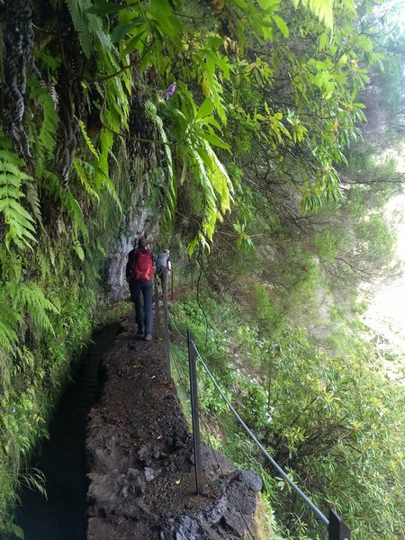 Portugal - Madeira: langs levada's